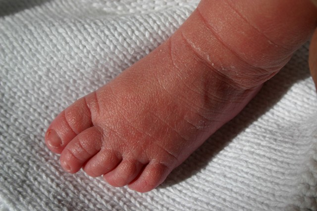Click for original image 246k 1229x819